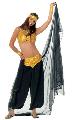 Belly Dancer