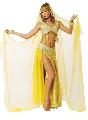 Belly Dancer