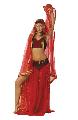 Belly Dancer