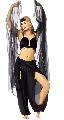 Belly Dancer