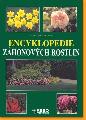 Encyklopedie zhonovch rostlin