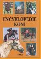 Encyklopedie kon