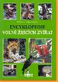 Encyklopedie voln ijcch zvat