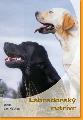 Labradorsk retrvr