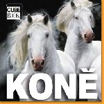 Kon