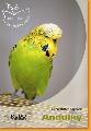 Andulky