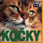 Koky