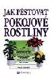 Jak pstovat pokojov rostliny