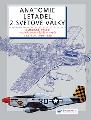 Anatomie letadel 2. svtov vlky
