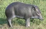 PECARI