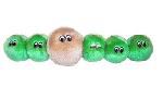 asa (Anabaena)