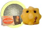 Hepatitis (Hepatitis C)