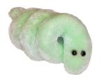 Boreliza (Borrelia burgdorferi)