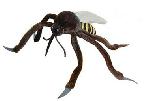 Komr (Culex pipiens)