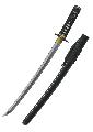 Wind and Thunder Wakizashi