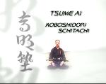 MUSO JIKIDEN EISHIN RYU Iai-Jutsu