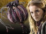 Hermione's Bag