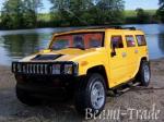 Auto - Hummer 1:8 - lut