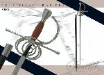 Renaissance Style Swept Hilt Rapier