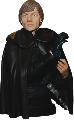 Star Wars Return of the Jedi Luke Skywalker Bust