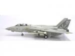 Witty - F-14A Tomcat, USS Carl Vinson