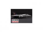 Witty - F-14B Tomcat, USN VF-11, USS John F. Kennedy