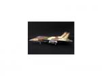 Witty - F-14A Tomcat, VF-24 Renegades Camel Smoker