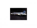 Witty - F-14A Tomcat, VF-143, USS AMERICA 1977