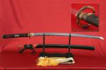 WANIZAME MUSASHI