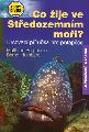 Co ije ve stedozemnm moi