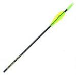 p CARBON FLASH - 570