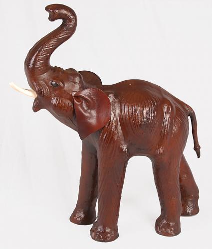 slon-hnedy---455-cm