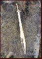 Celtic Sword, Bronze