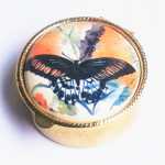 .klasická kulatá lékovka - motýl -NOVINKA