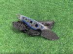 N��/BROWNING SKINNER Modr� G10 FX-694BR
