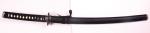 wakizashi - ekonomick� model